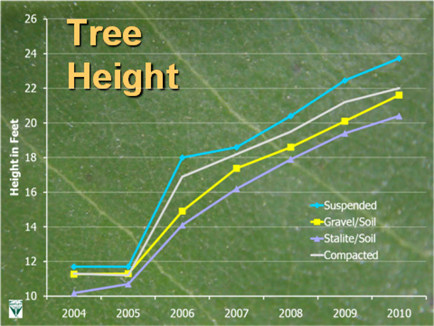 Smily data on tree height 树高的微笑数据