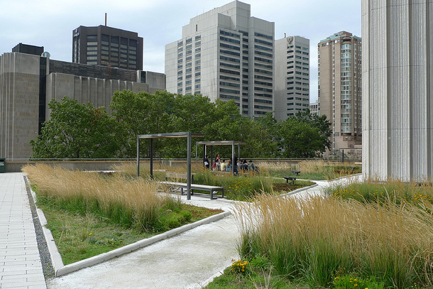 Green roof - Toronto 绿色屋顶——多伦多