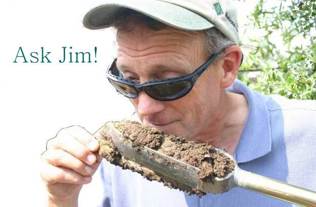 问吉姆!