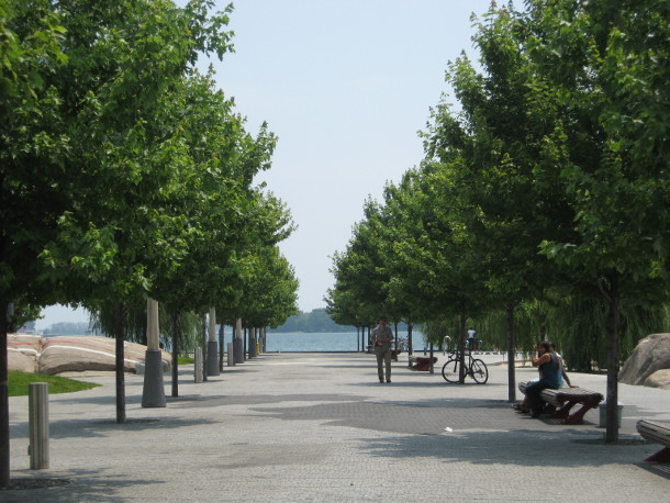 安大略省多伦多市每棵行道树的土壤体积至少为30立方米