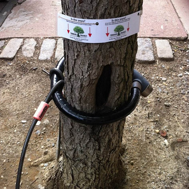 Treedom项目标志。图片来源:Treedom Project Instagram