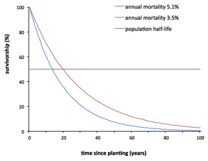 种群半衰期的生存曲线:根据Roman和Scatena(2011)对先前研究的元分析估计，当年死亡率恒定为5.1或3.5%时，行行树的生存曲线。这些曲线描述了累积生存率的指数衰减。人口半衰期是指人口中有一半死亡的时间(存活率= 50%)。请注意，在人口统计学文献中，生存曲线通常是用对数变换绘制的，但为了便于解释，此图没有进行对数变换。劳拉·罗曼提供。