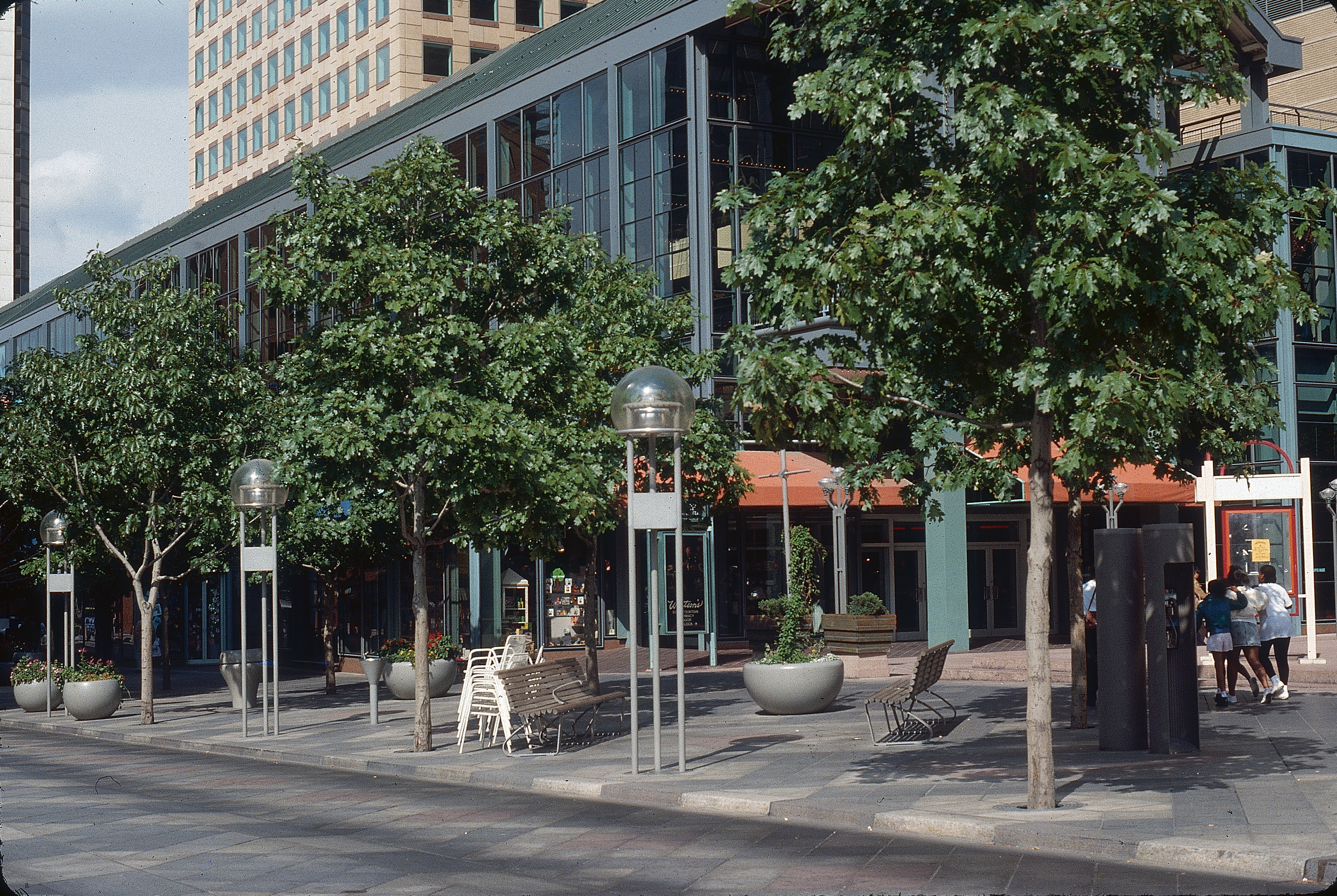 1988年16街购物中心的树木。图片来源:汤姆·佩里