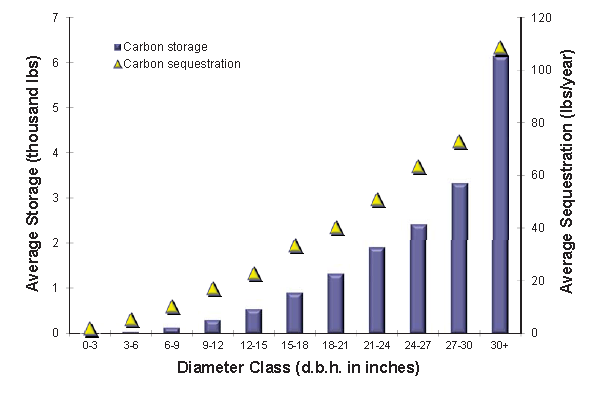 图1:2010年芝加哥地区按直径分类的估计平均碳储量和固碳量(来自Nowak et al, 2012)